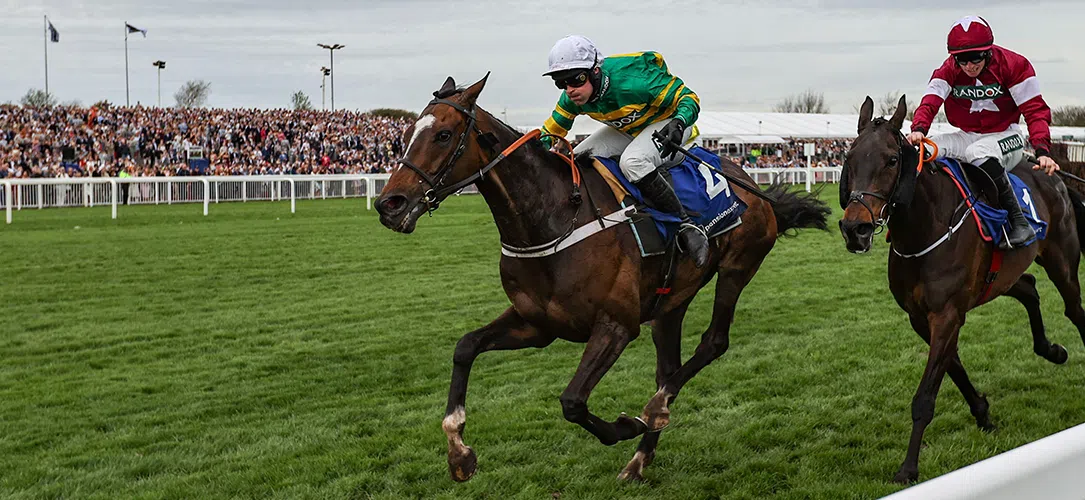 Jonbon’s record and racing profile