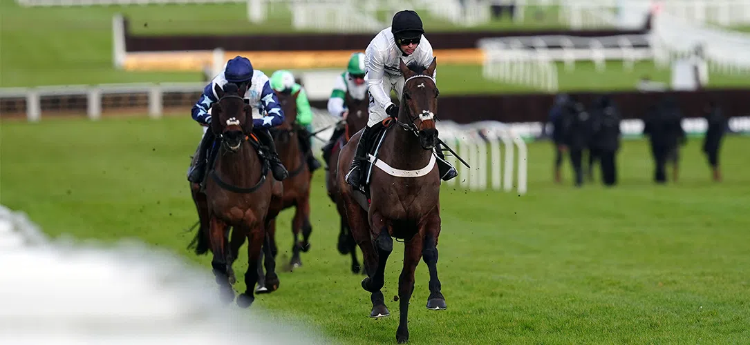 Constitution Hill record and race profile