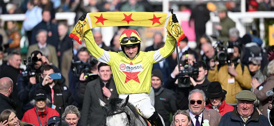 Harry Cobden winners and horse racing stats