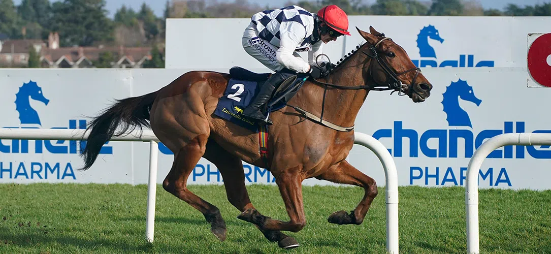 Ballyburn record and race profile