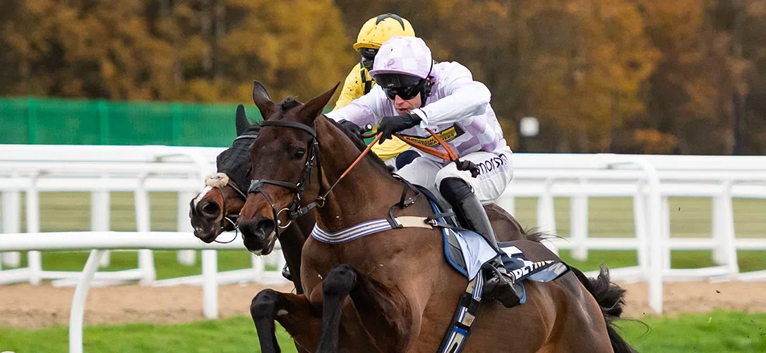 How to bet on Champion Hurdle odds