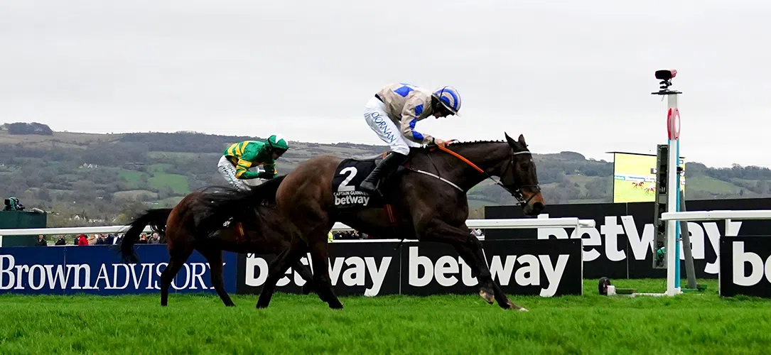 What is the prize money for the Champion Chase at Cheltenham?