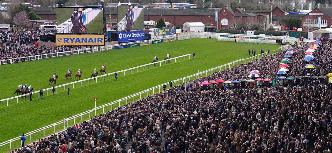 Cheltenham Mares’ Novices’ Hurdle trends and stats