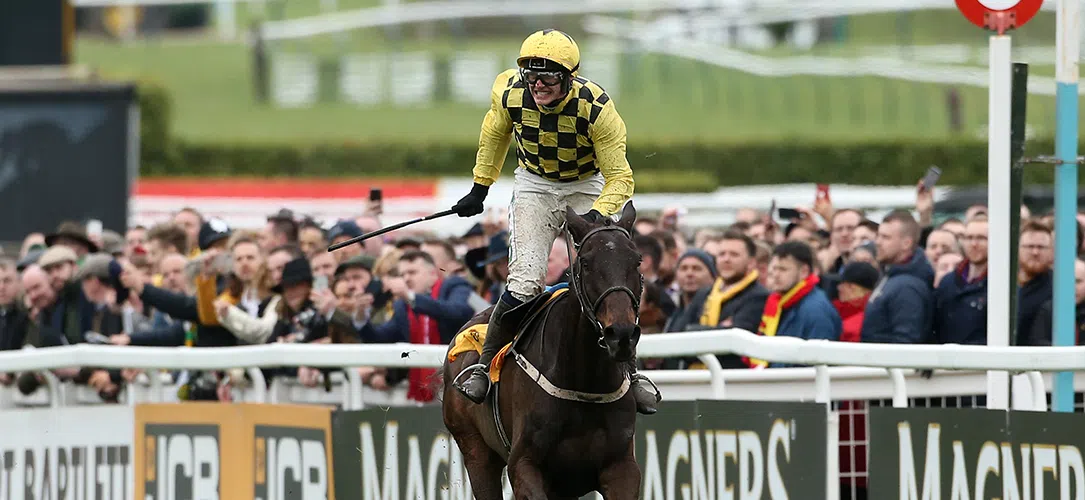 Cheltenham Gold Cup trends and stats