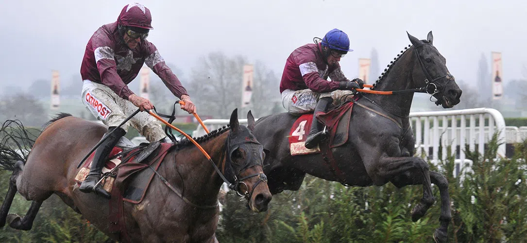 Gordon Elliott’s Cheltenham winners