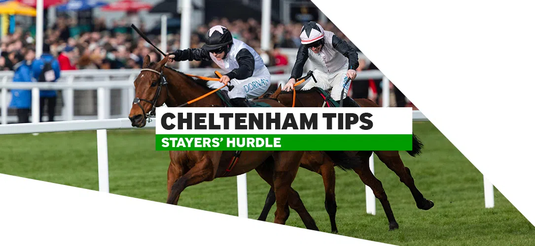 Cheltenham Stayers’ Hurdle tips