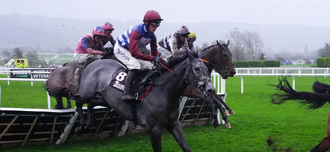 Paul Nicholls’ Cheltenham entries 2026