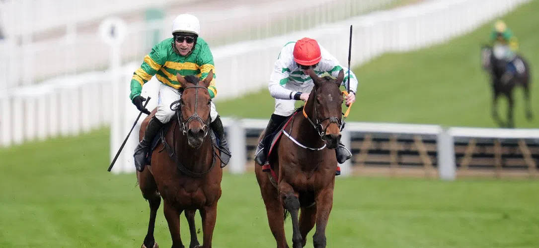 Dan Skelton’s Cheltenham entries 2026