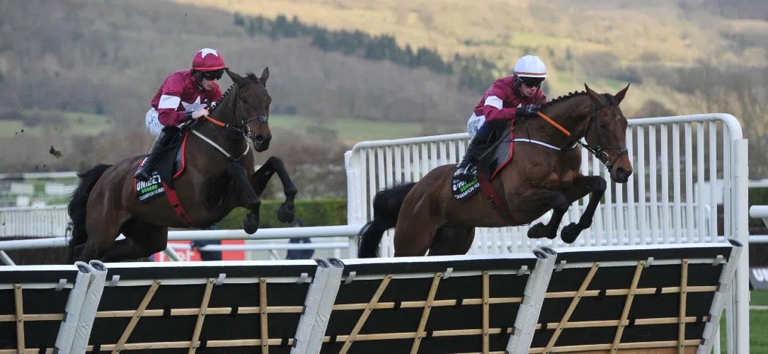Gordon Elliott’s Cheltenham entries 2026