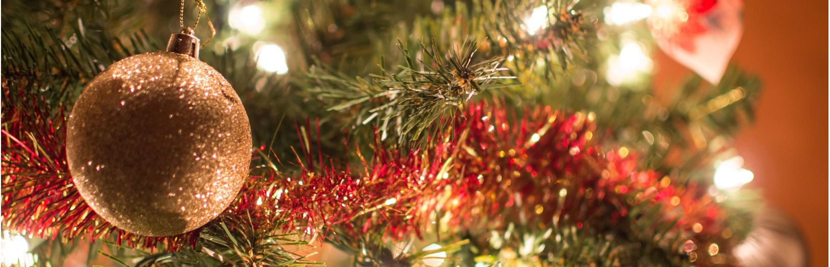 Are you fir real? The cost of a real Christmas tree in 2023
