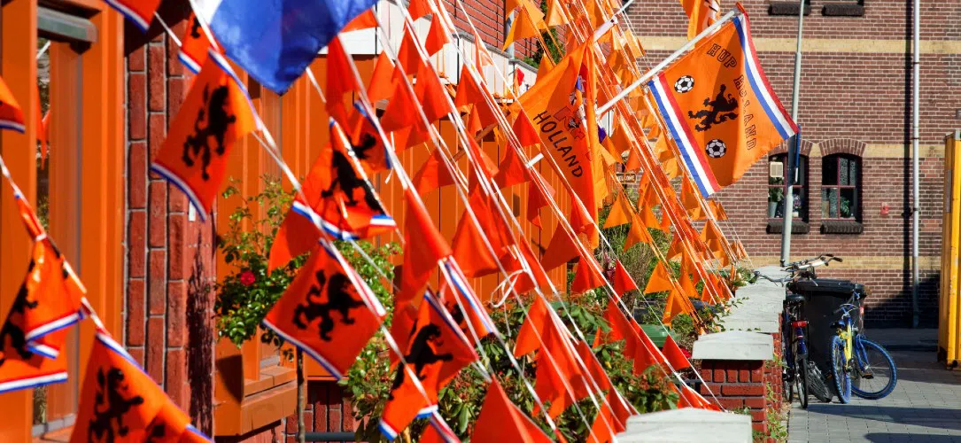 A history of the Netherlands at the World Cup