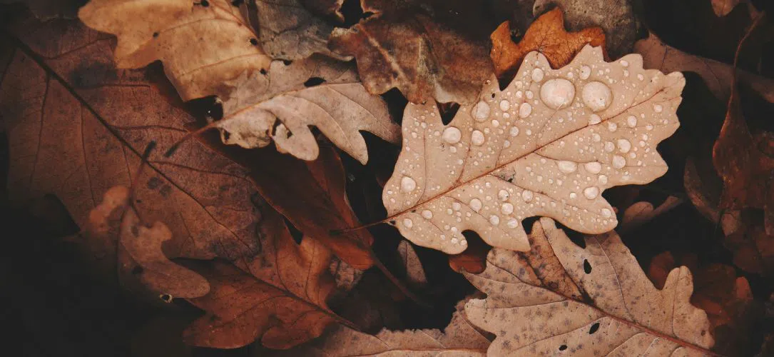 The Cosiest Cities in the UK this Autumn