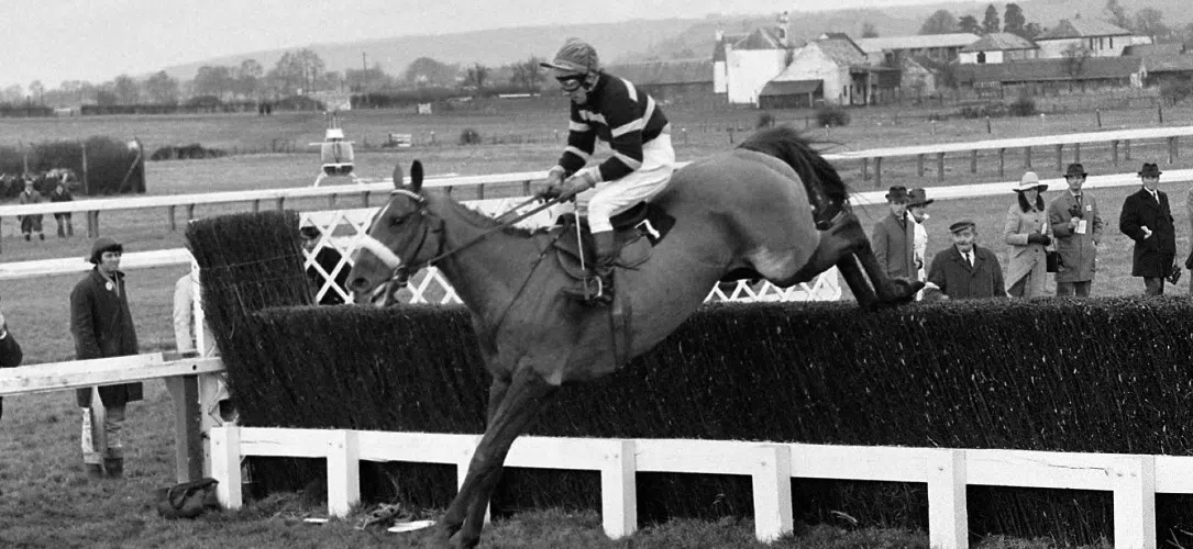 Has anyone won the Gold Cup and Grand National?