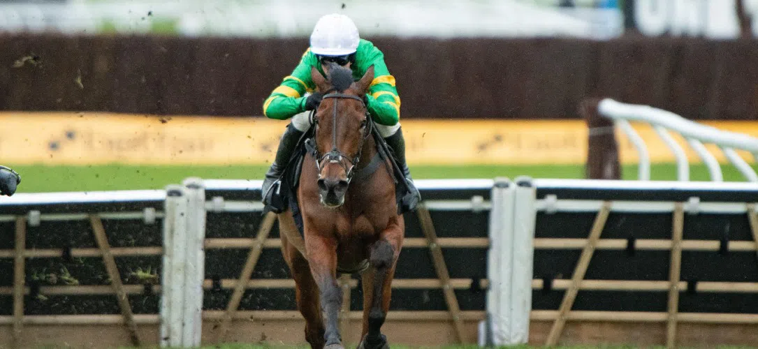 Dan Skelton’s Cheltenham winners