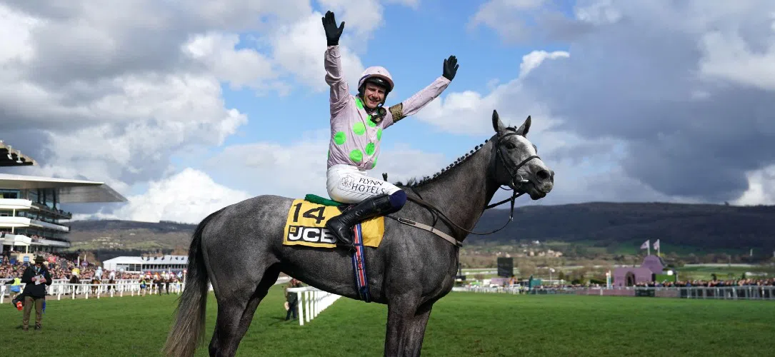 Paul Townend’s Cheltenham winners