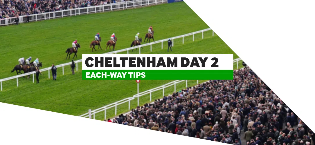 Cheltenham day two each-way tips