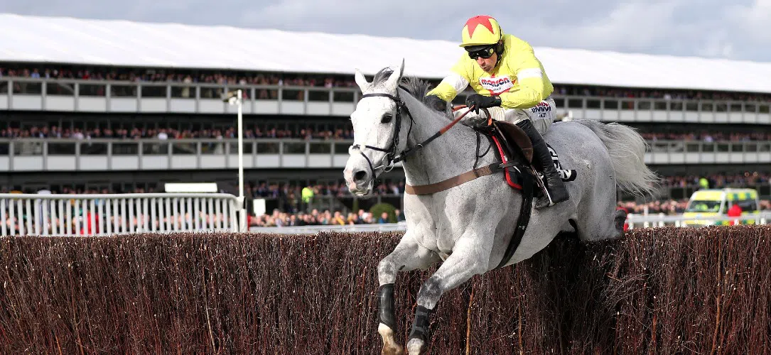 Paul Nicholls’ Cheltenham winners