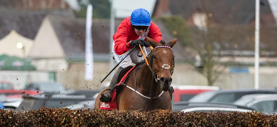 Darragh O’Keeffe jockey profile and stats