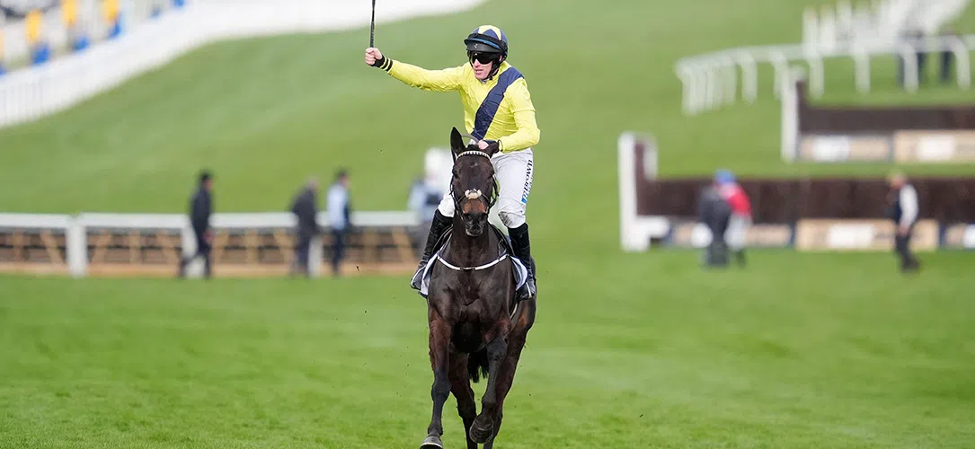 Cheltenham Champion Chase runners 2026