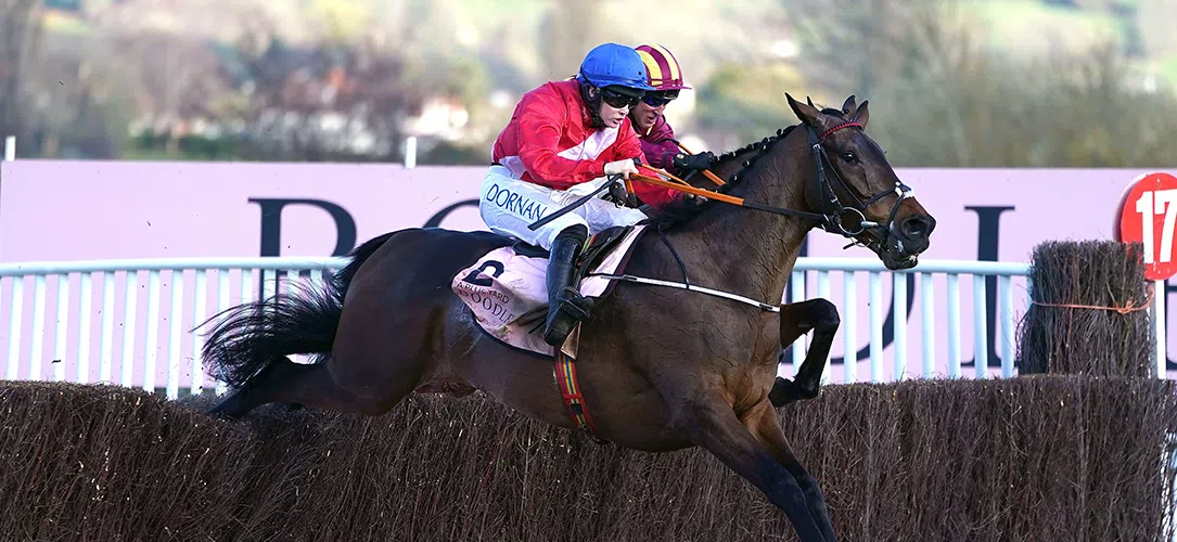 Henry de Bromhead’s Cheltenham winners