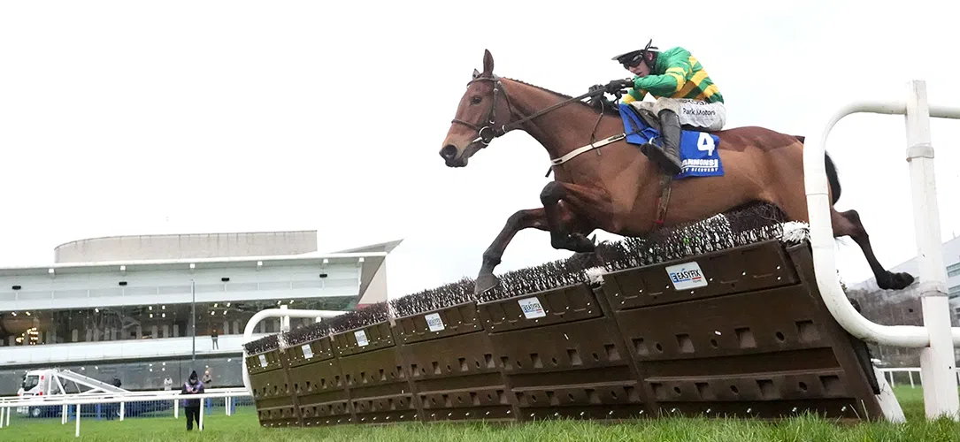 Cheltenham Triumph Hurdle runners 2026