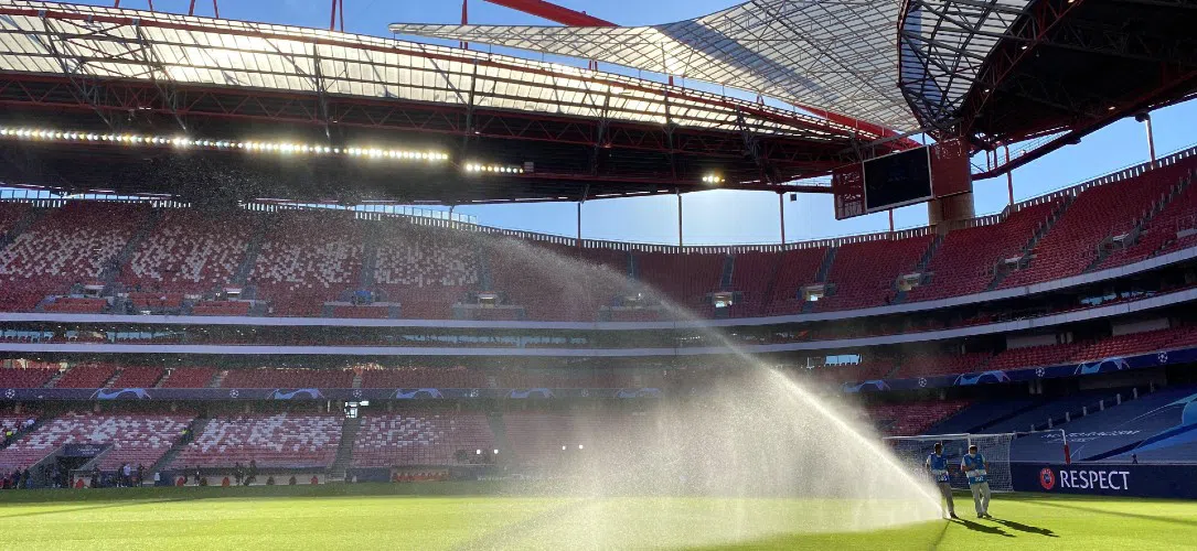 How to bet on Portugal football odds