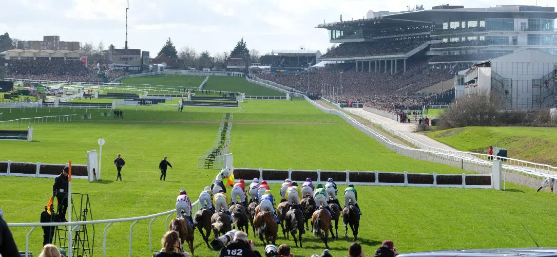 Cheltenham Festival guide: Everything you need to know