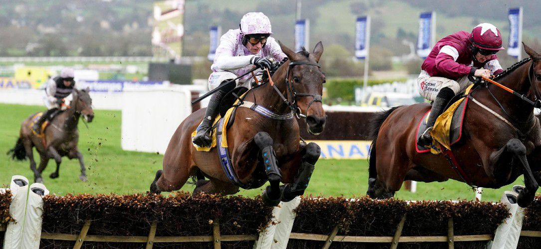 When is the Mares’ Novices’ Hurdle at Cheltenham?