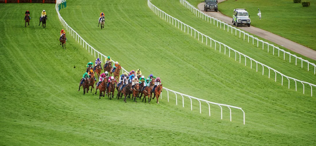 Cheltenham Lucky 15 Tips for Day 4