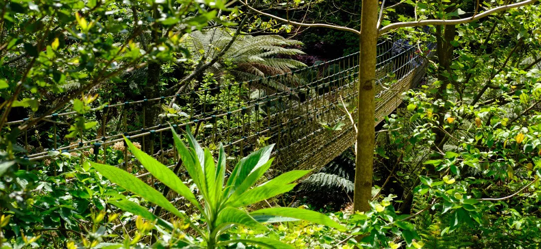 Former I’m A Celebrity winner Phil Tufnell reveals jungle secrets