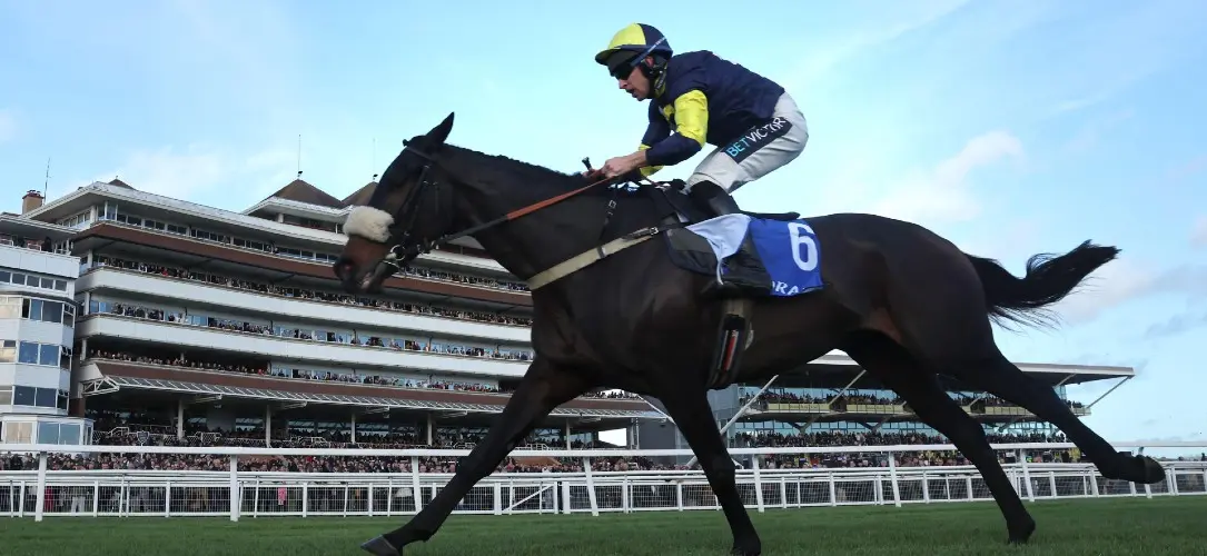 Paul Ferguson: The Horses, Trainers and Jockeys to Follow in 2026-27