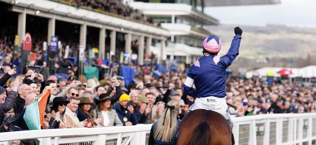 Supreme Novices’ Hurdle trends and stats