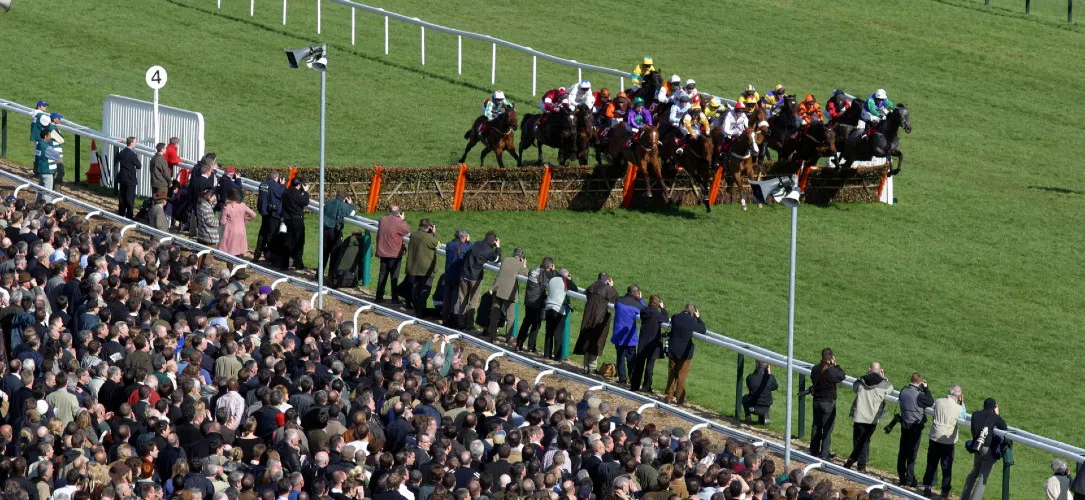 Aidan Coleman: Jango Baie’s the one for me in the King George