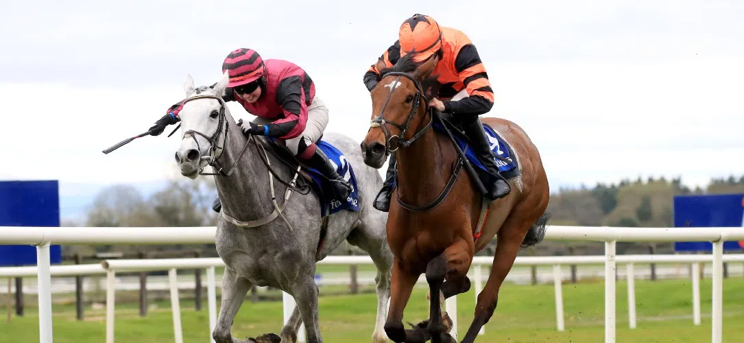 What is the prize money for the Gold Cup at Cheltenham?