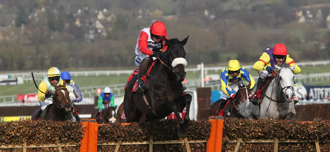 A History of Cheltenham Stayers’ Hurdle Winners