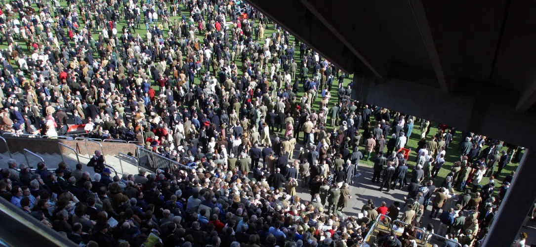 What is the dress code for Cheltenham Festival?