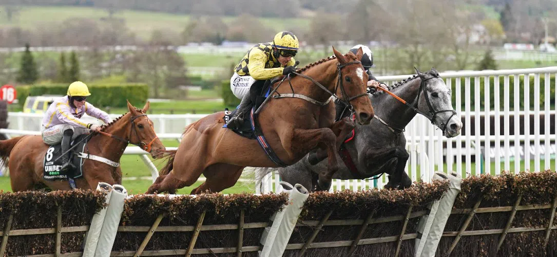 What is the prize money for the Champion Hurdle at Cheltenham?