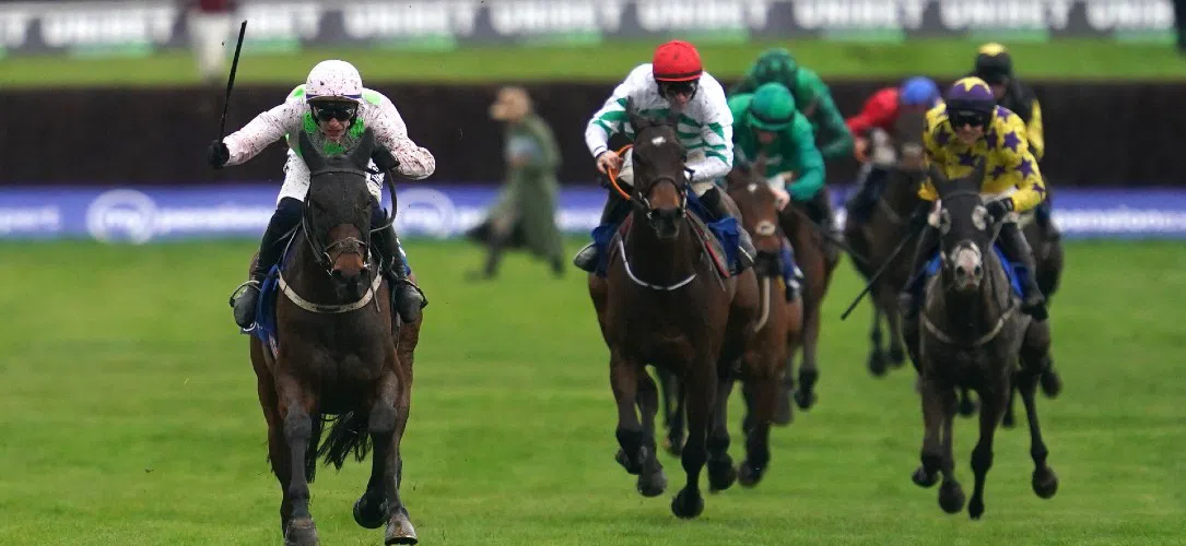What is a handicap chase in horse racing?