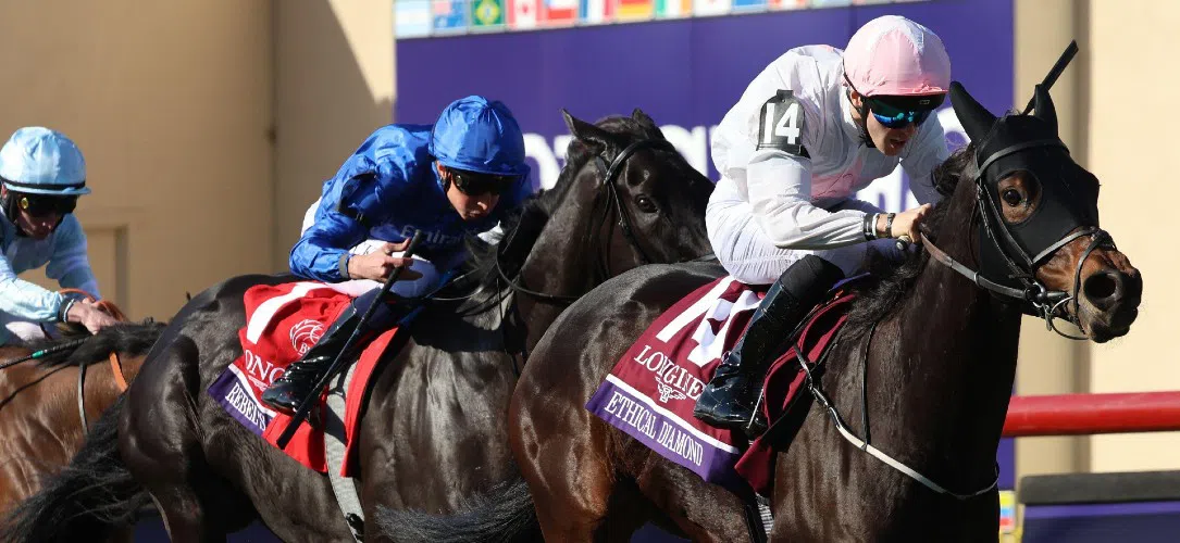 Jessica Harrington: Willie Mullins is a genius of a trainer