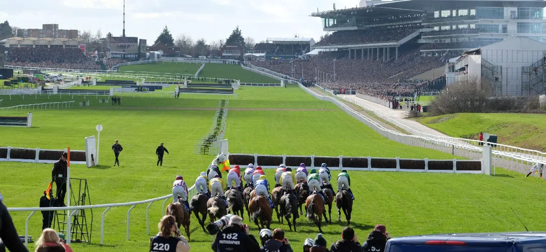 Cheltenham Festival ticket giveaway