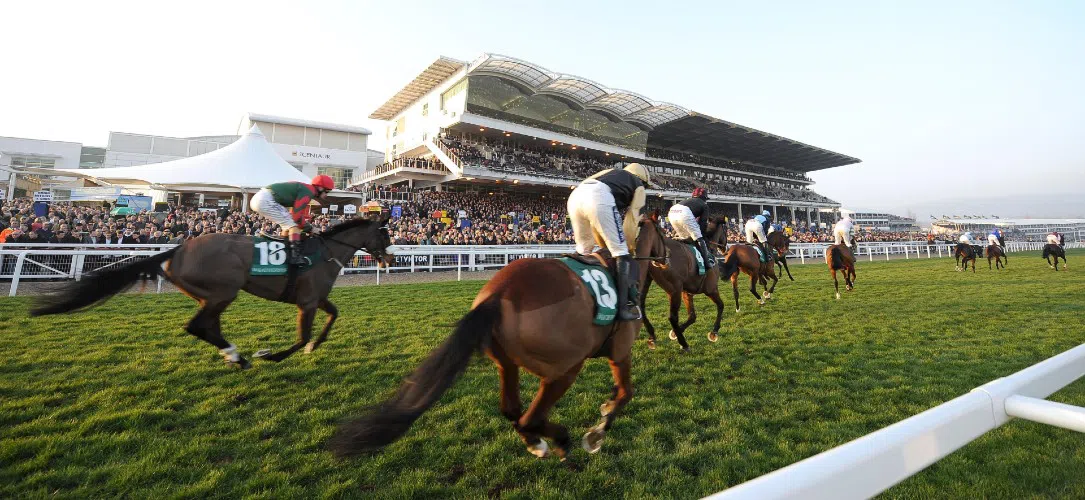 A history of Cheltenham Champion Bumper winners