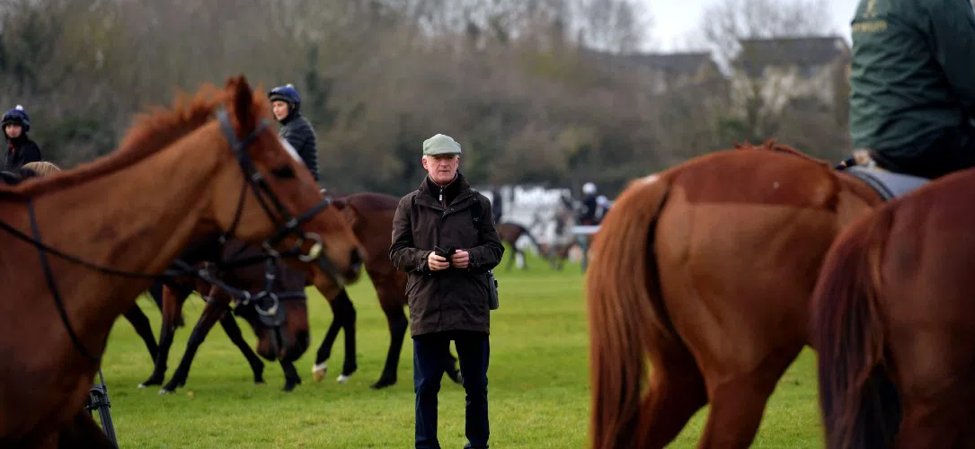 How many horses does Willie Mullins train?