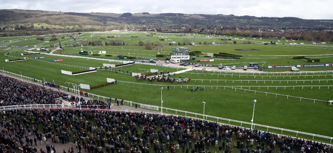 Ultima Handicap Chase trends and stats