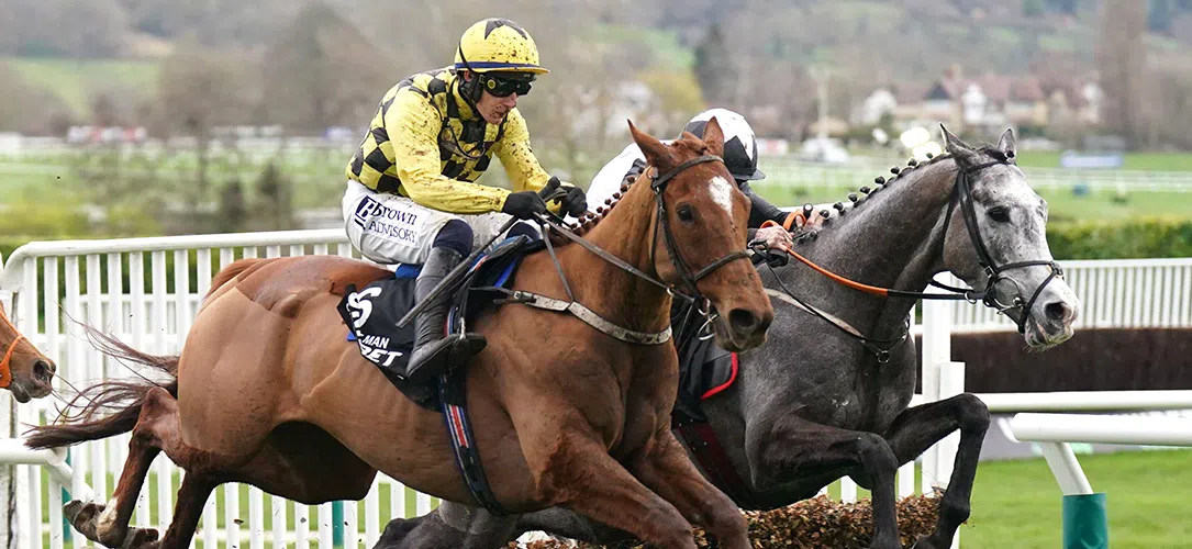 Champion Hurdle trends and stats