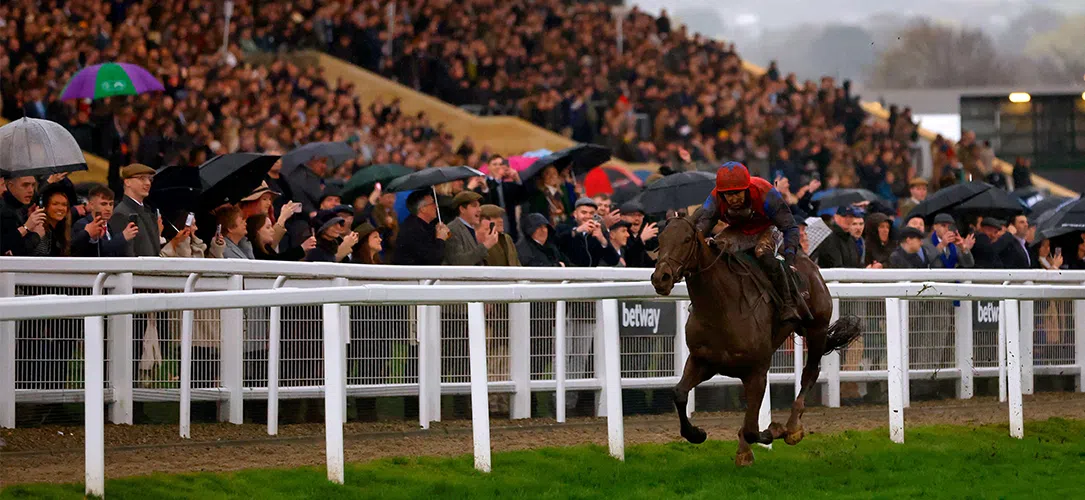 Champion Bumper trends and stats