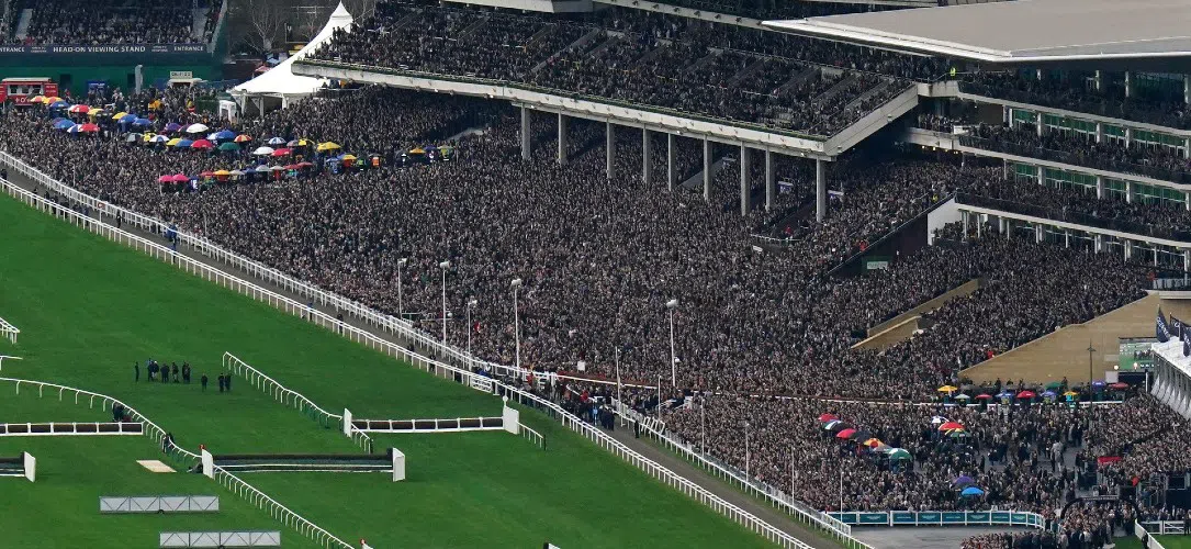 Cheltenham Day 1 trends and stats