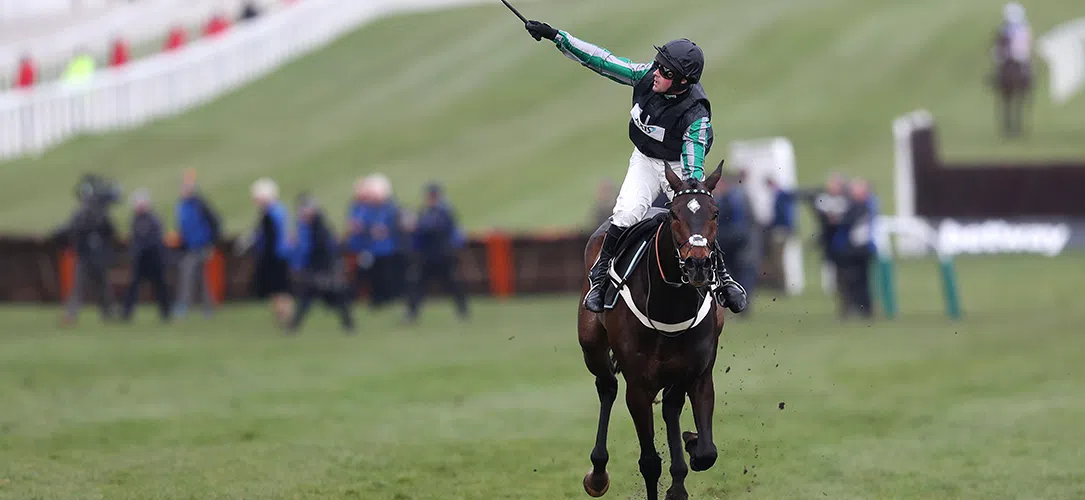 Cheltenham Day 2 trends and stats