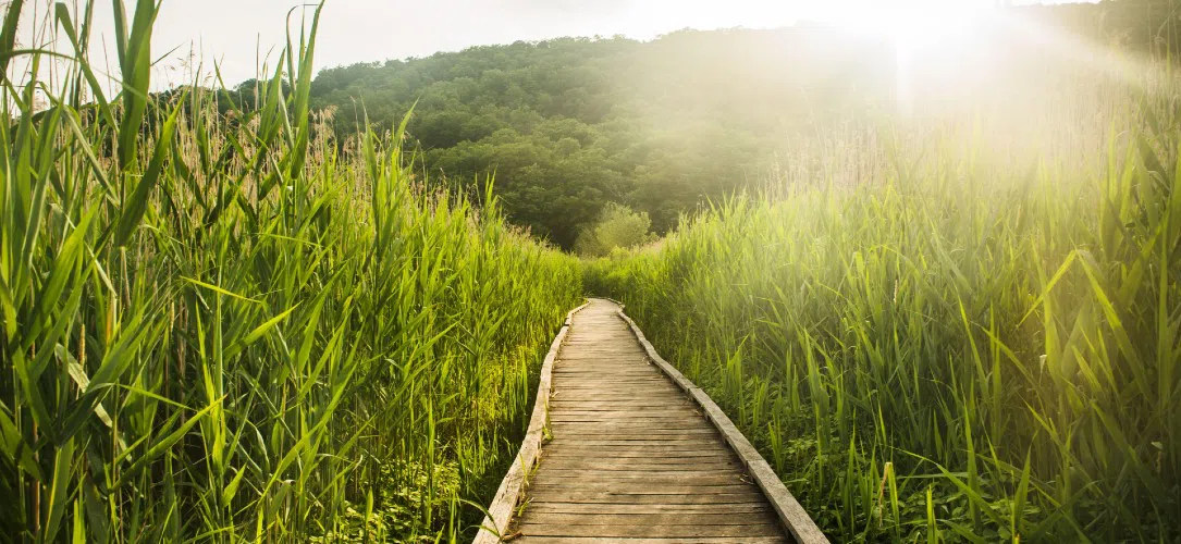The Most Picturesque Trails in America and Canada