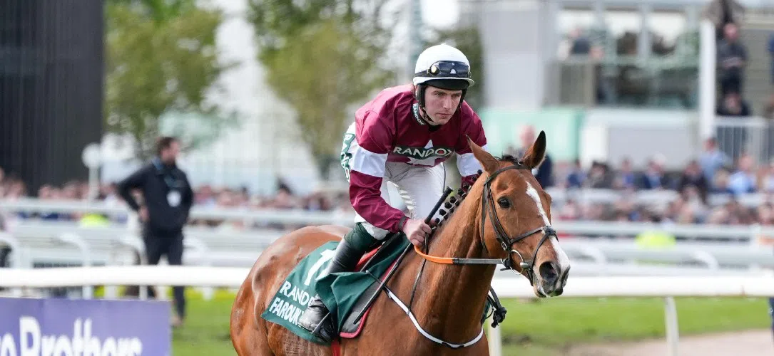 Donagh Meyler: Galopin Des Champs is the best horse in training