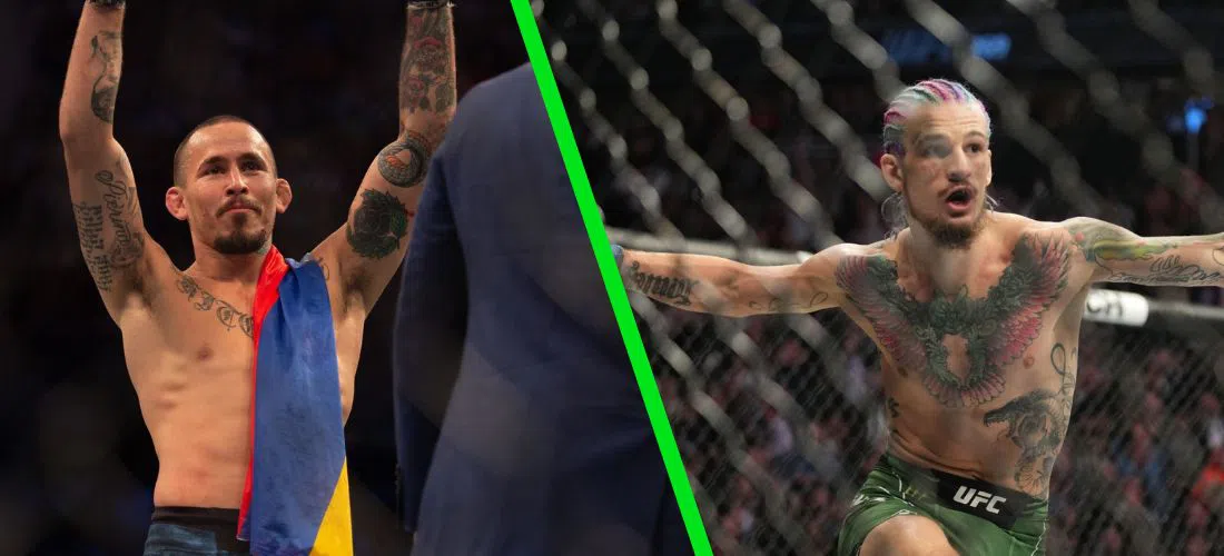 Vera vs O’Malley: todo lo que tienes que saber